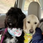 Jane Brogan - @rubydoo1355 - Instagram