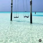 @bronsonjaner2 - Instagram