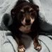 Jane Bronson - Facebook