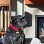 Janice Blomquist Bronson - @janicebronson3 - Instagram