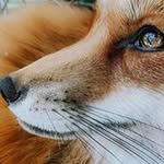 Jane Brooman - @janebrooman - Instagram
