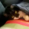 Jane Broomfield - @jane.broomfield - TikTok