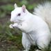 Jane Brophy - Facebook
