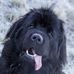 Jane Brophy - Facebook