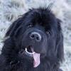 janebrophy987 - @janebrophy987 - TikTok