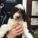 @janebrophy - Instagram