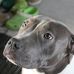 Jane Brossard - Facebook