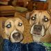 Janel Bumgardner - Facebook