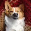 AADITA_KUMAR - @jane.burdette59 - TikTok