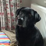 Jane Button - @jane_the_tanzi - Instagram