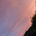 jane button - @button6627 - Instagram