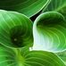 Jane Twyman Peter Button - Facebook