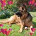 Jane Butts - Facebook