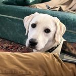 Jane Lyle Byars - @janelylebyars - Instagram