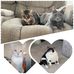 Jaynie Cagle - Facebook