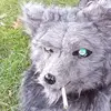 janecalloway - @janecalloway - TikTok
