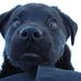 Janet Cammarata - Facebook