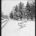 Creative Images by Jane Canfield - Facebook