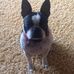 Jane Canfield - Facebook