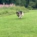 Jane Canham - Facebook