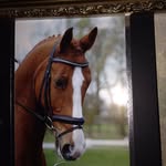 Jane Canham - @canham_jane - Instagram