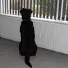 Janet Canning958 - @janetcanning1 - TikTok