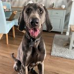 Nicola Jane Canning - @nicolacanning71 - Instagram