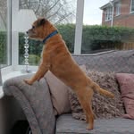 Jane Cantwell - @janecantwell - Instagram