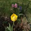 Jane Cao290 - @jancao290 - TikTok