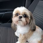 Jane Cao - Facebook