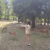 Jane Cao - @janejanecao - TikTok