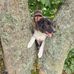Janet Carbone - Facebook