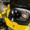 Janet Carbone - @janet.carbone2 - TikTok
