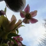 Jane Carden - @carden8121 - Instagram