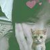 Jane Carlos - Facebook