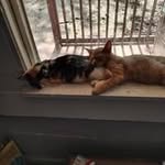 Janice Carmack - @janice122945 - Instagram