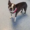 Jane Carol - @jane.carol70 - TikTok