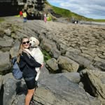 Jane Carolan - @jane_carolan - Instagram