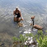 Jane Blood Carrier - @carrier_jane - Instagram