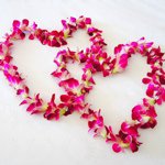 Jane Carty - @smiley876 - Instagram