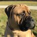 Jeanne Casadont - Facebook
