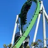 GreatGreenMamba - @myrajanecassell - TikTok