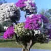 user6638167500905 - @janecates06 - TikTok