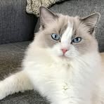 Jane Catherine - Facebook