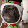 Jen Catterson - @jen.catterson - TikTok