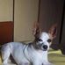 Janece Oliveira Santos Santos - Facebook