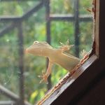 Jane Chaffinch - @jane.chaffinch - Instagram
