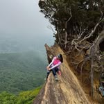 Jane Chen - @jane_s_chen - Instagram