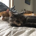 Jane Childers - @mydoodlz - Instagram