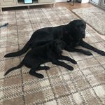 Jane Chilton - @janelchilton - Instagram